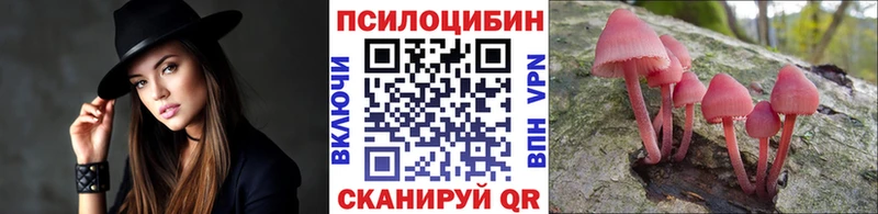 Галлюциногенные грибы GOLDEN TEACHER omg маркетплейс Сосновый Бор